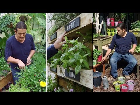 Plantar hierbas aromaticas en jardineras